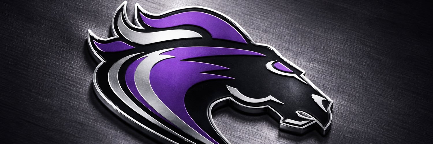 Ridge View Baseball banner