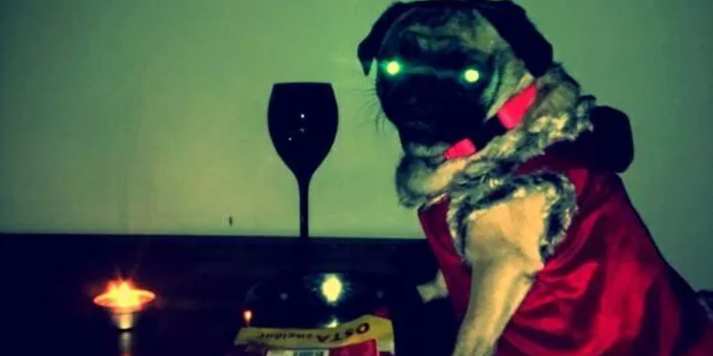 Albert Ingason.  banner