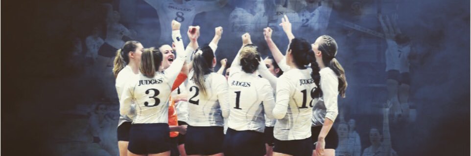 Brandeis Volleyball banner
