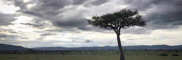 _TamaraAnderson Profile Banner