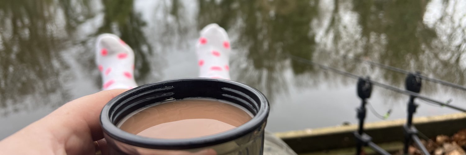 Stephen Boyes banner