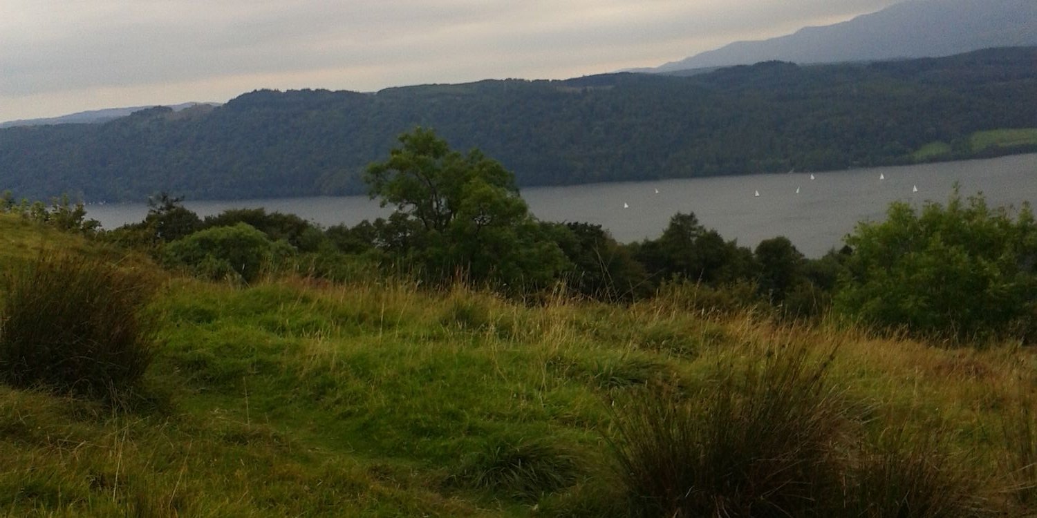 Stephenramshaw's profile banner image