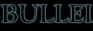 Bulleii's profile banner image