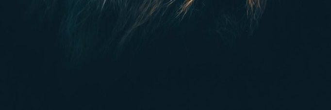 Raymond_O256's profile banner image