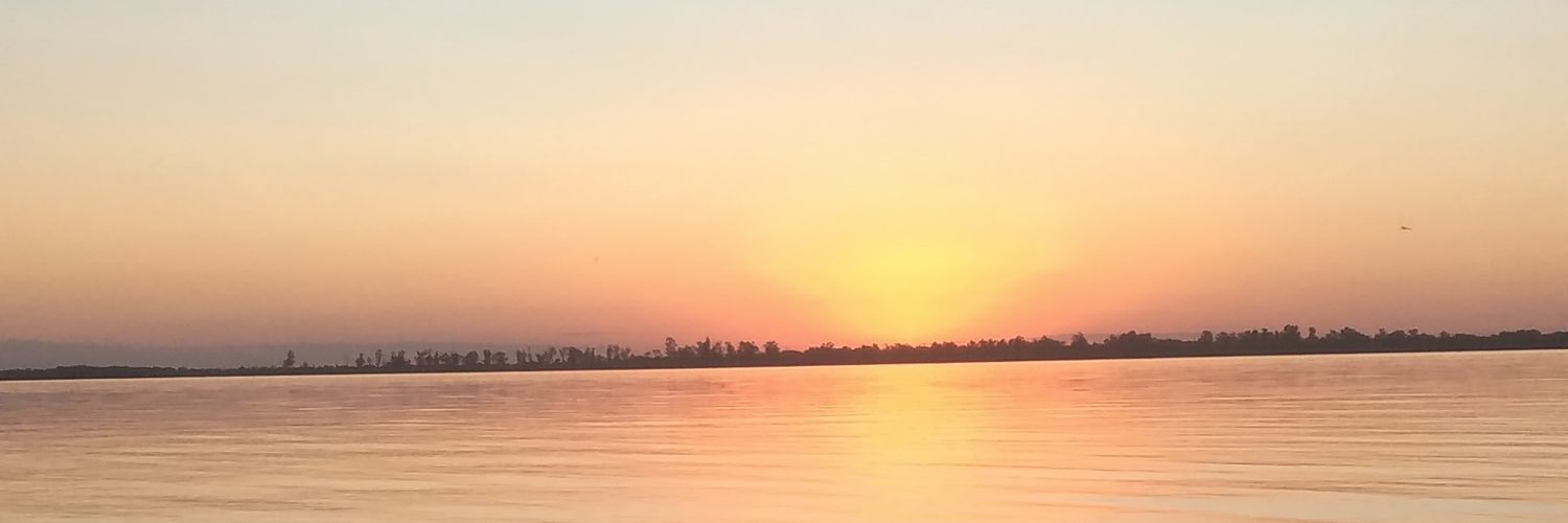 luisi2611's profile banner image