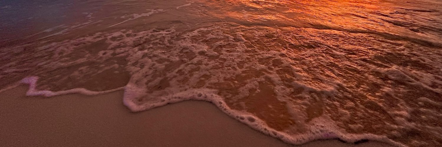 willadair's profile banner image