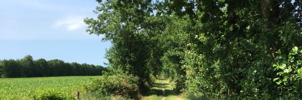 smotske Profile Banner