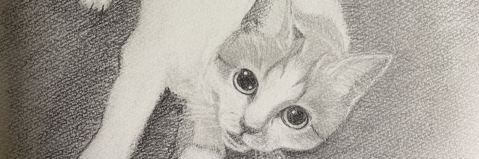 仙台のノンビリ屋 banner