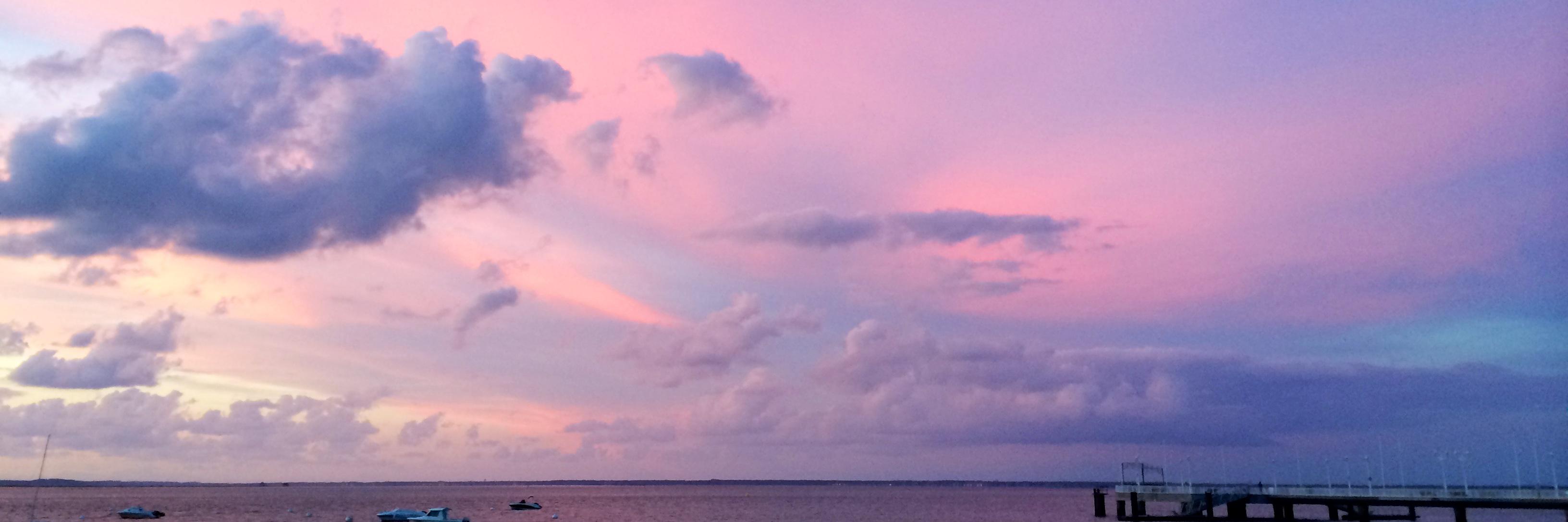 amyvanessa's profile banner image