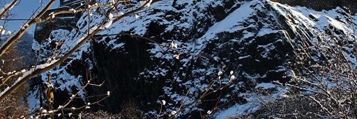 jacquiehelm's profile banner image