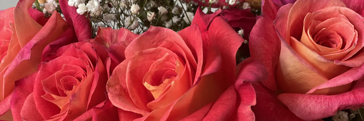 danatella19's profile banner image