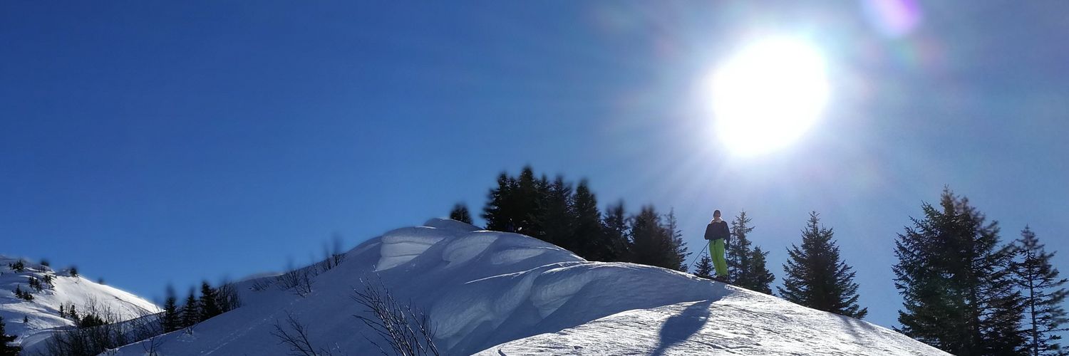 AntoinePavard's profile banner image
