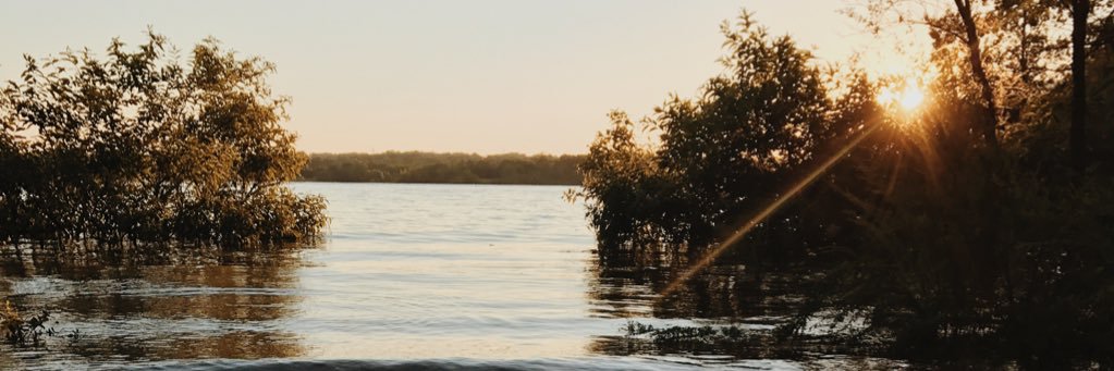 BriannaStento's profile banner image