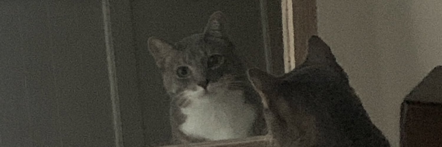 jellneb's profile banner image