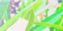 MeghJames's profile banner image