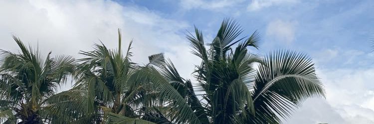 nyarkoeric_'s profile banner image