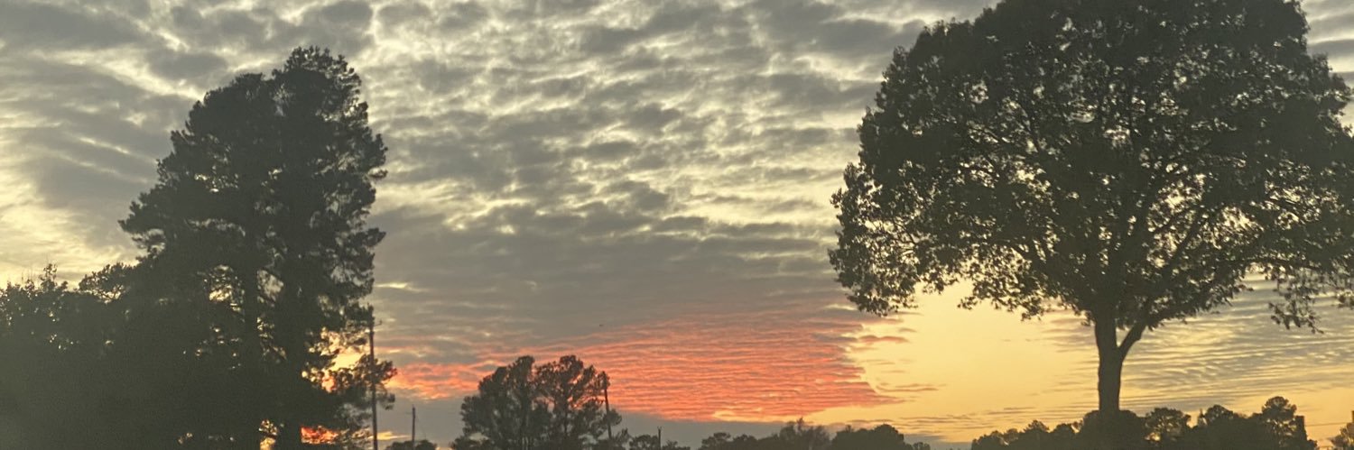 BrandonFugler's profile banner image