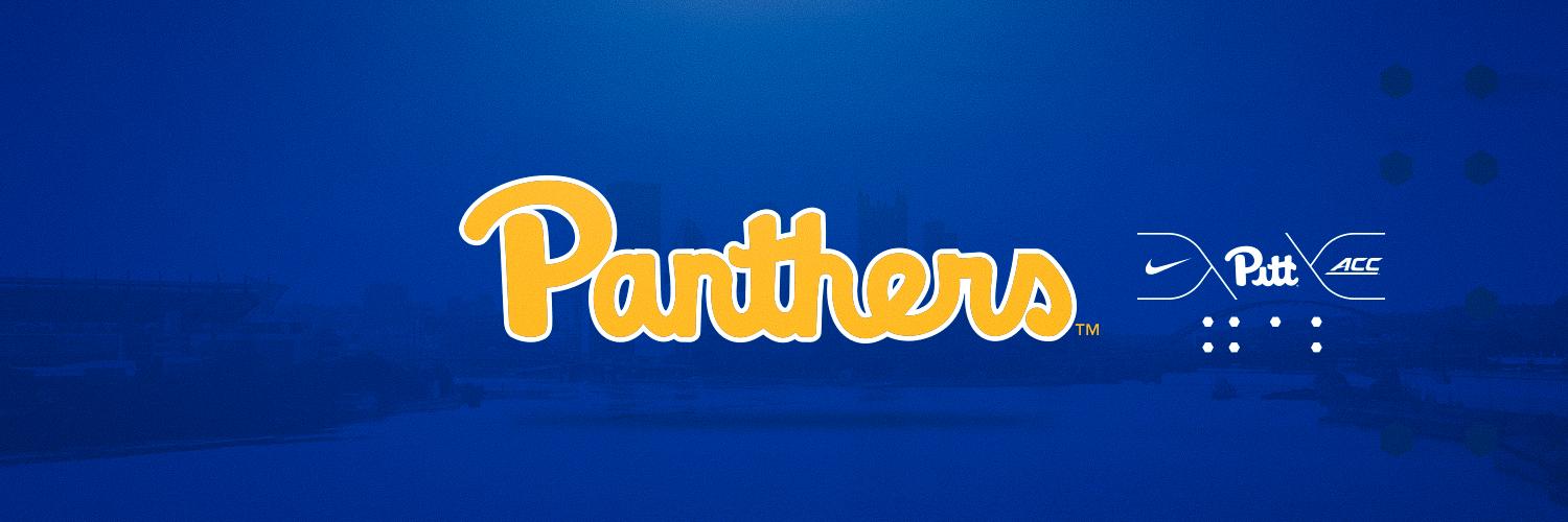 PittLiveWire's profile banner image