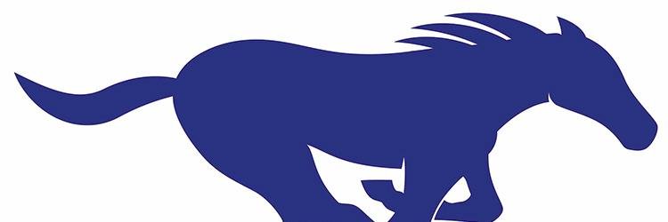 dgslibrary's profile banner image