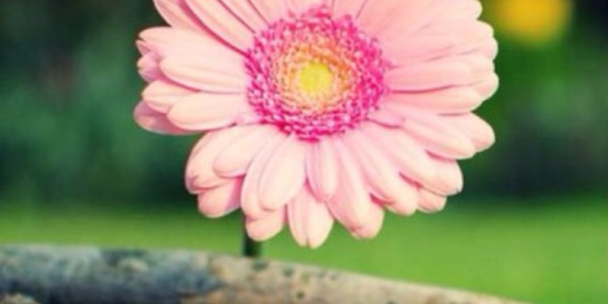 Fa65433's profile banner image