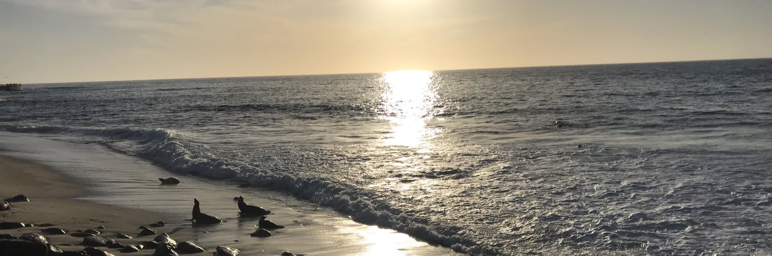 moreblock19's profile banner image