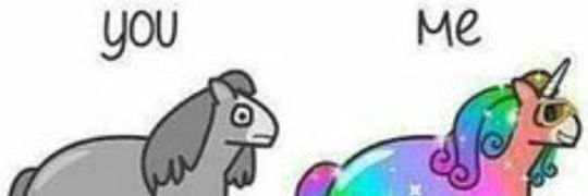 carni_vF's profile banner image