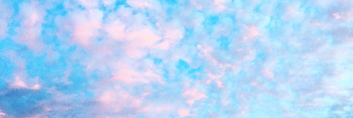 theresapham95's profile banner image