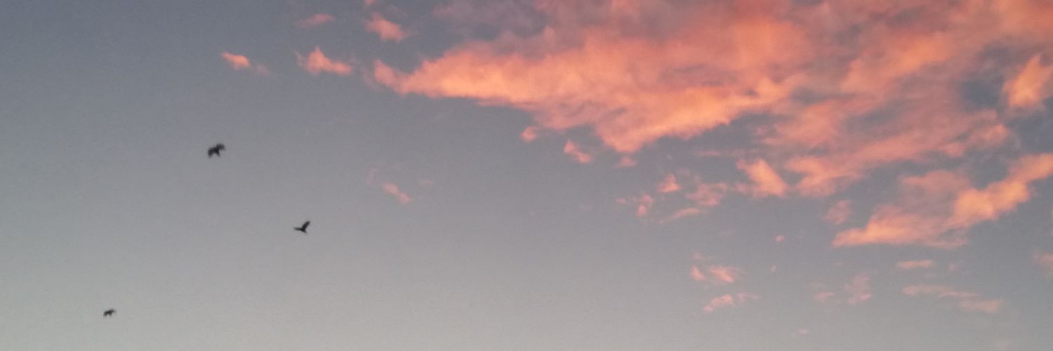 Cata_Bookish's profile banner image