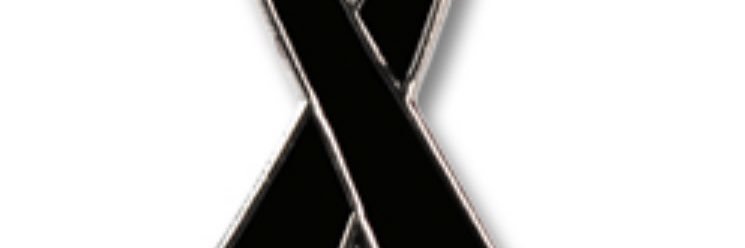 flunkerstern's profile banner image
