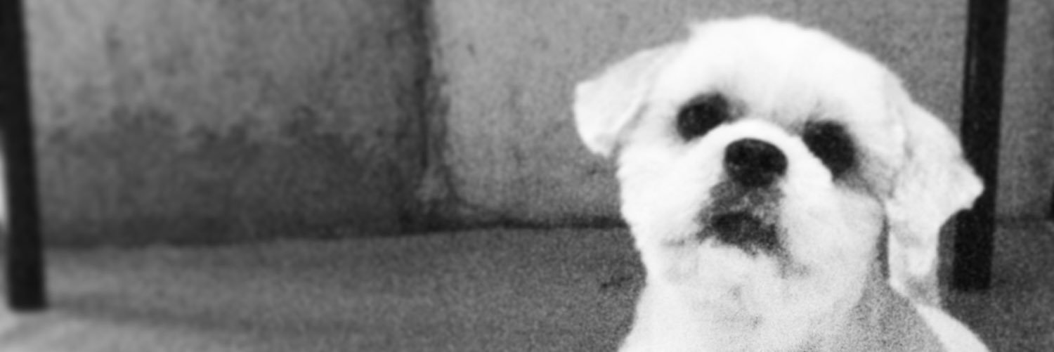 jnnfrsny's profile banner image