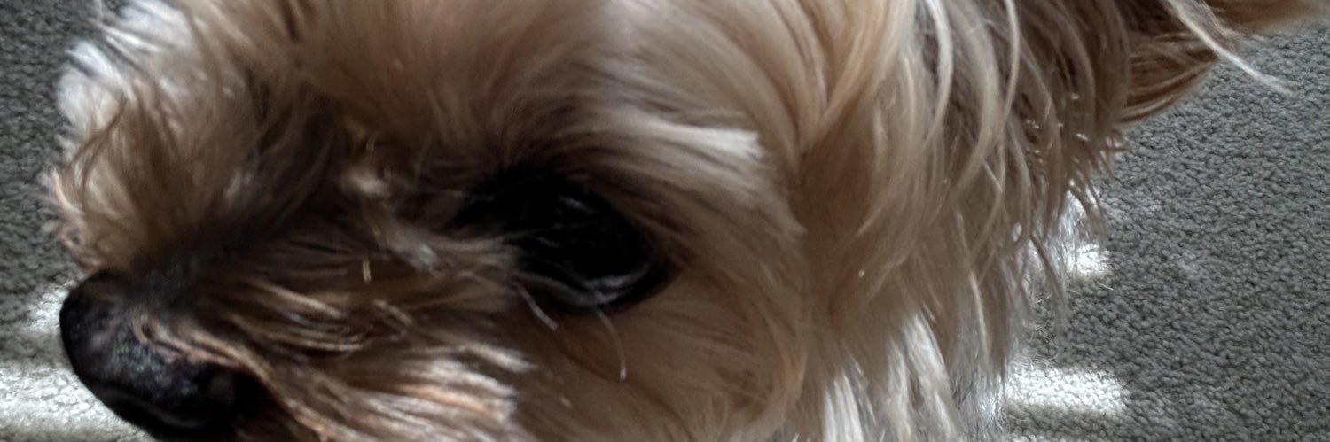 nick_burford's profile banner image