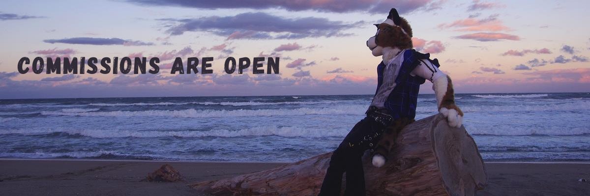 noahfurs's profile banner image