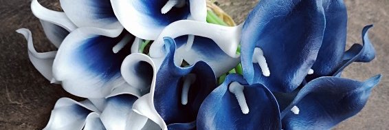 How could you say that I never needed you? banner