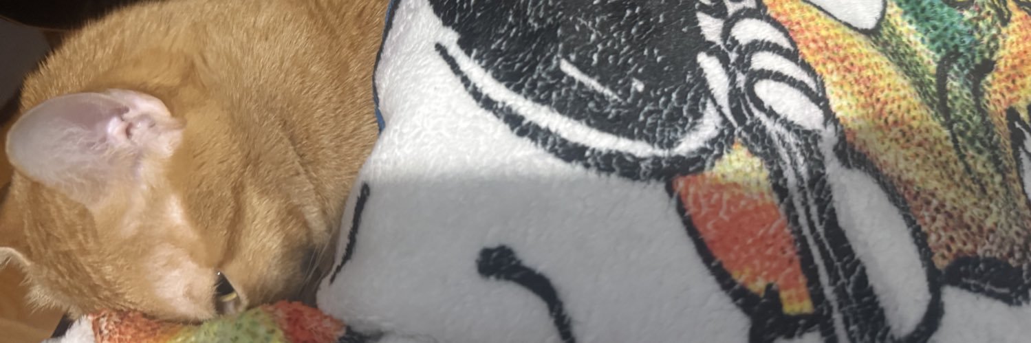 abourakty's profile banner image