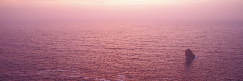 maurogariazzo's profile banner image
