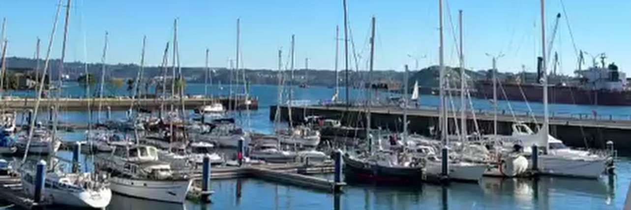 NATALIA REY RIVEIRO banner