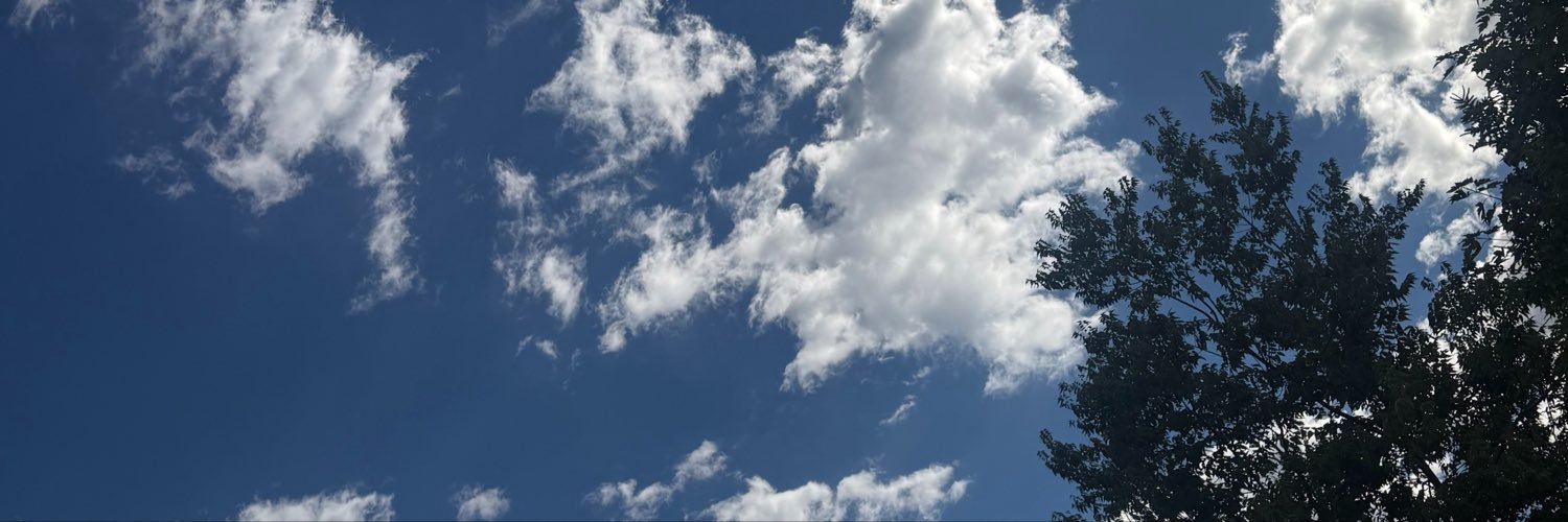 anitamdowell's profile banner image