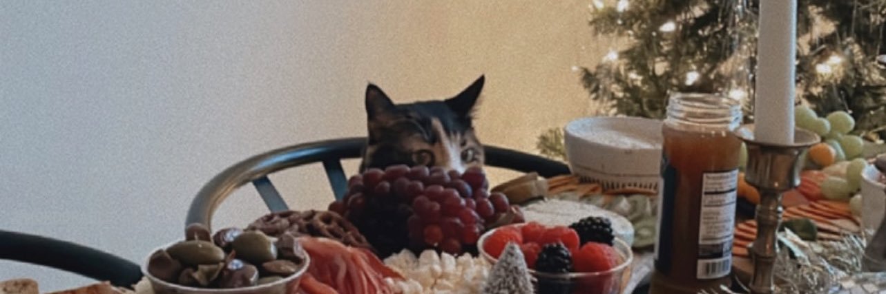 modorable's profile banner image