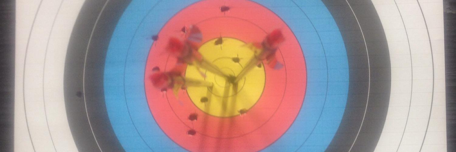 ArcherySwan's profile banner image