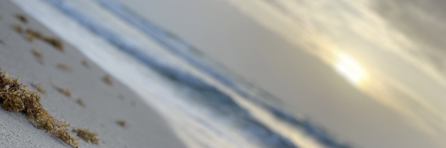 _conniex3's profile banner image