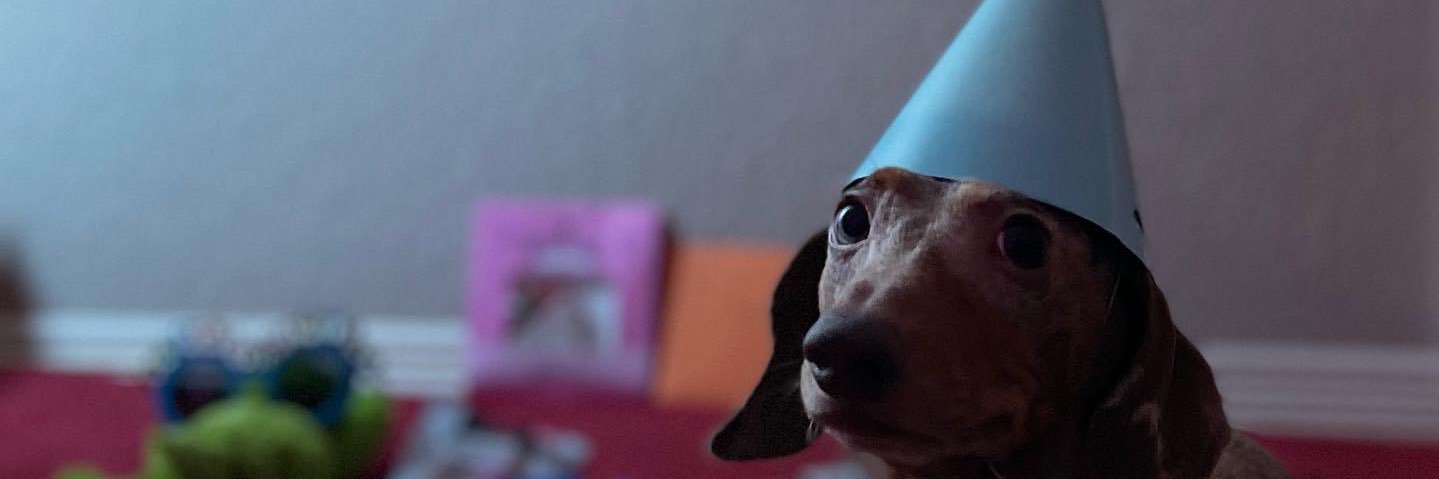 ttayzilla's profile banner image