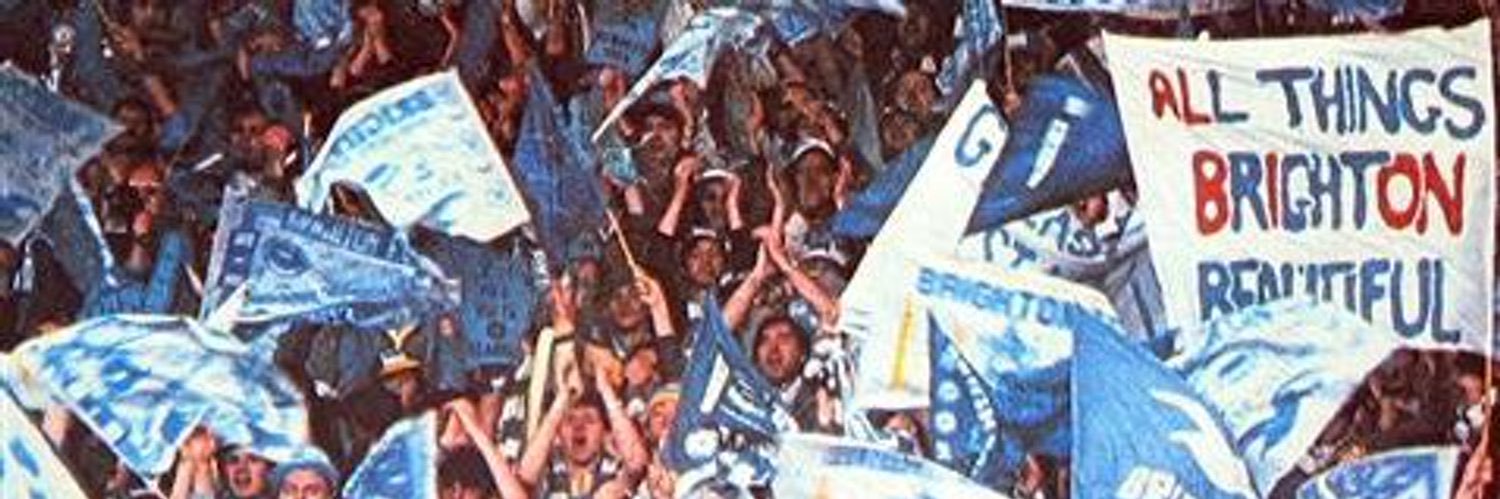 tomhebbo's profile banner image