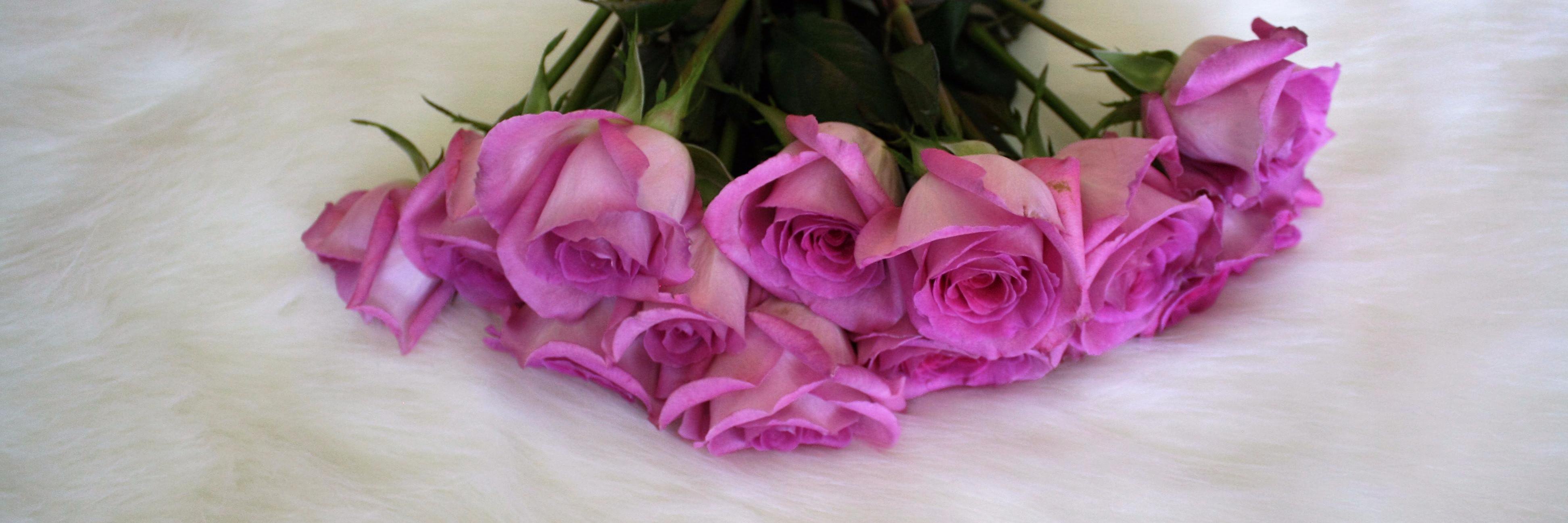 abeautifulrawr's profile banner image