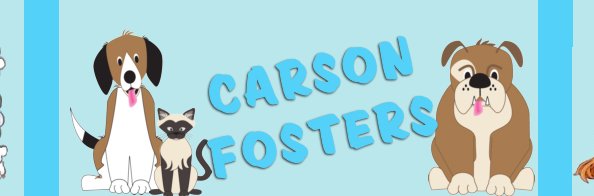 rhiannon west banner