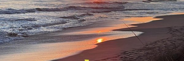 maiderpr Profile Banner