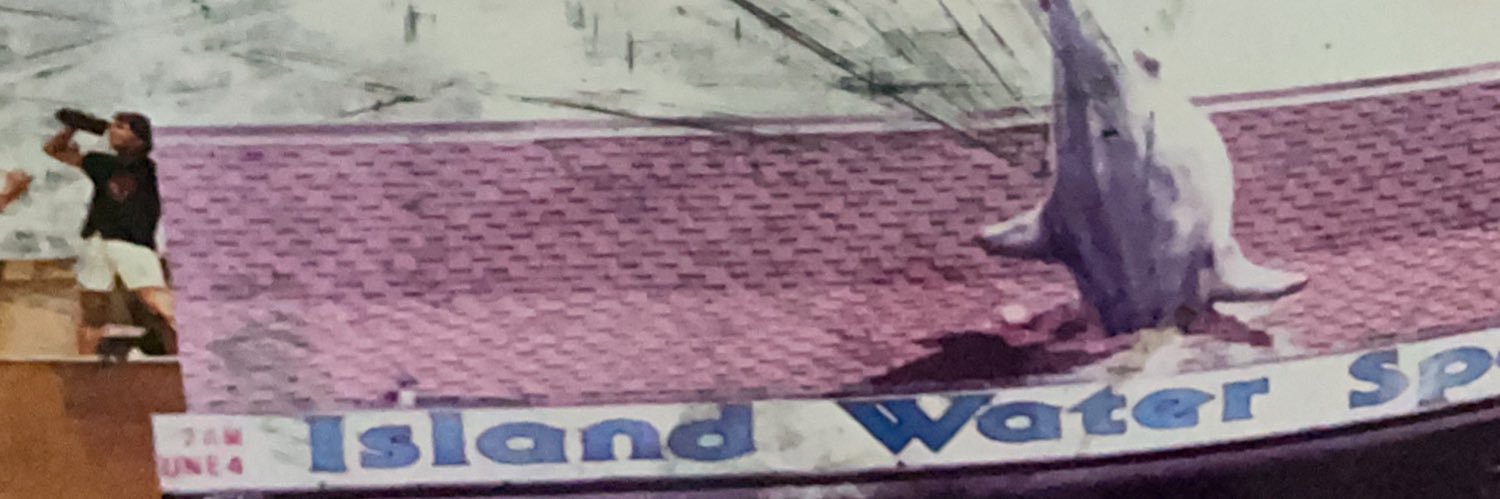 MikeyMontee's profile banner image