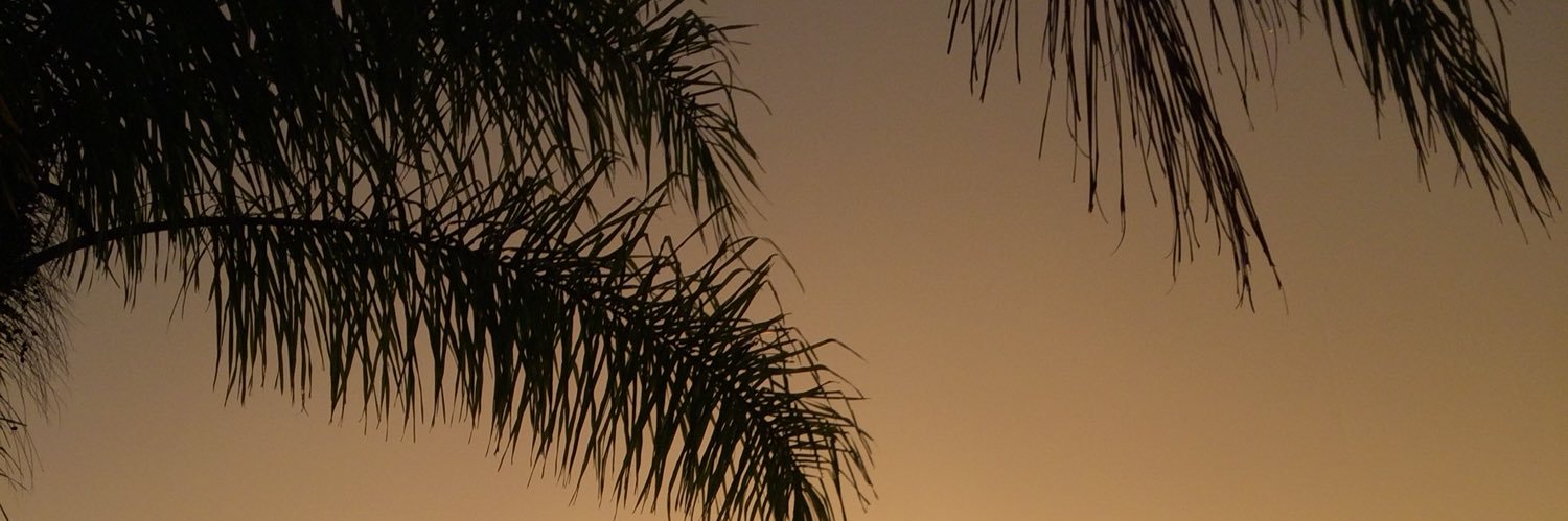 fersoarws's profile banner image