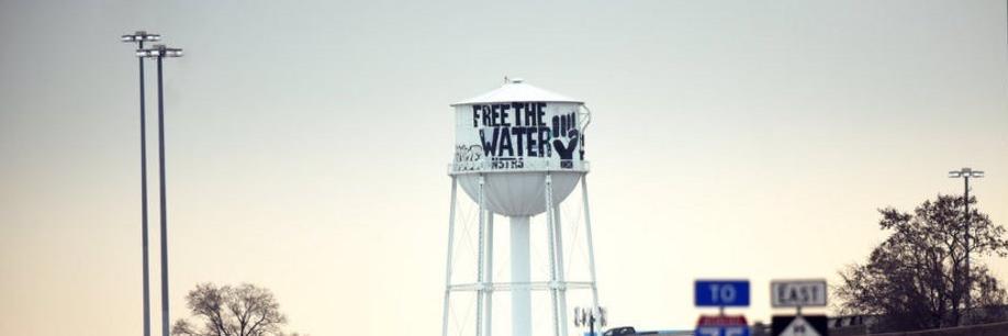 cecily nicholson banner