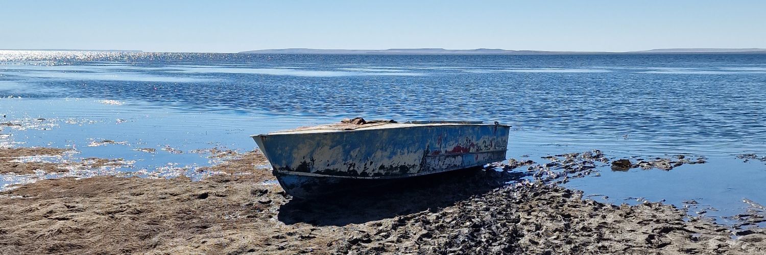 Michael Rossi banner