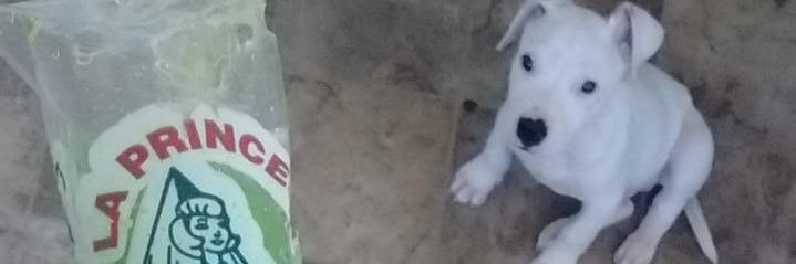 Slictop's profile banner image